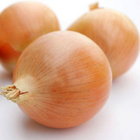 Цибуля Кенді F1 250000 насіння ріпчаста ультрарання, Seminis