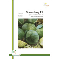 Капуста Грин Бой F1 б/к среднеранняя 20 семян европакет, Империя Семян