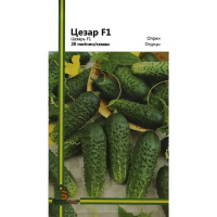 Огурец Цезарь F1 20 семян пчелопыляемый среднеранний, Империя Семян