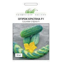 Огурец Криспина F1 50 семян партенокарпический ранний, Nunhems Zaden