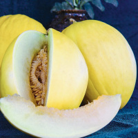 Дыня Колхозница на развес, Агролиния