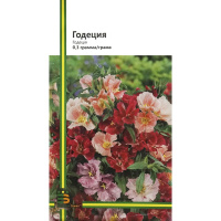 Годеция крупноцветковая 0,3 г смесь, Империя Семян