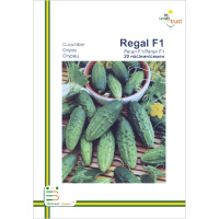 Огурец Регал F1 пчелоопыляемый ранний 20 семян европакет, Империя Семян
