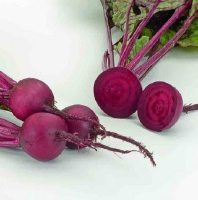 Свекла Ред Сан F1 5000 шт столовая округлая среднеспелая, United Genetics