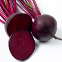 Свекла Кадет ранняя 500 г, Satimex