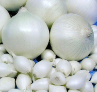 Купить сноуболл весовой лук саженка арбажейка в интернет-магазине Sezon Сноуболл весовой лук саженка арбажейка
