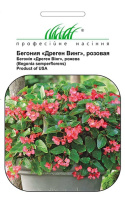 Бегония каскадная Дрегон Винг F1 5 дражированных семян розовая, Pan American flowers
