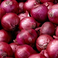 Цибуля Ред Рок F1 100000 насіння ріпчаста середньостиглий червоний, Unigen Seeds
