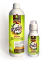 Овощной доктор 100 мл биофунгицид системного действия, Biona