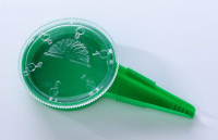 Сівалка ручна, Оазис