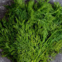 Кріп Беллі на вагу, Агролінія