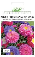 Астра китайская Принцесса Бенари 30 семян смесь, Benary flowers
