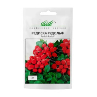 Редис Рудольф 3 г ультраранний, Bejo Zaden