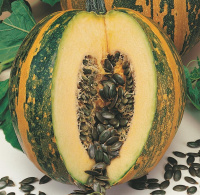 Гарбуз Голосімянний ваговий середньостиглий