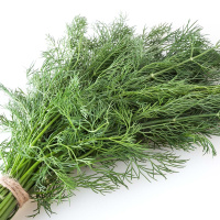 Кріп Алігатор на вагу, Агролінія