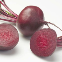 Свекла Зепо F1 25000 шт столовая ранняя, Rijk Zwaan