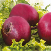 Свекла Красный Шар на развес, Агролиния