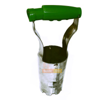 Цибулинасажалка металева, Оазис