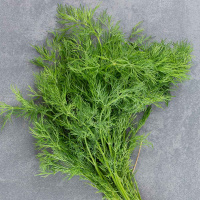 Кріп Амброзія на вагу, Агролінія