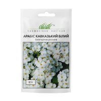Арабис кавказский Белый 0,1 г, Hем Zaden