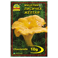 Мицелий Лисичка Желтая 10 г, Насіння Країни