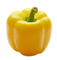 Перець Бачата F1 1000 насінин середньопізній, Syngenta Flowers