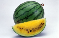 Арбуз Оранж Кинг F1 1000 шт, Nong Woo Bio