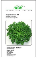 Салат Ендівій Сігал 100 дражованого насіння, Rijk Zvaan