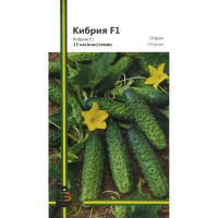 Огурец Кибрия F1 15 семян партенокарпический ранний, Империя Семян