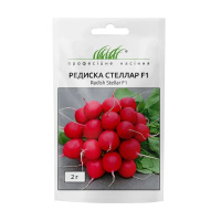 Редис Стеллар F1 ранний 2 г, Syngenta