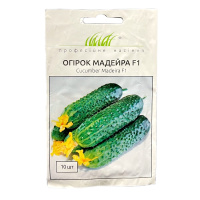 Огурец Мадейра F1 10 семян партенокарпик, Seminis