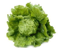 Салат Діамантінас 1000 дражованого насіння айсберг, Rijk Zvaan