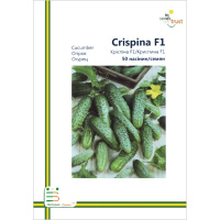 Огурец Криспина F1 самоопыляемый ранний 50 семян европакет, Империя Семян