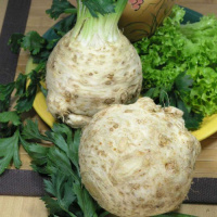 Селера Президент 10 000 шт, Rijk Zwaan