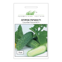 Огурец Пуччини F1 10 шт партенокарпический, Rijk Zwaan
