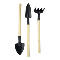 Набор из 3-х предметов для комнатных растений Gardening Tools