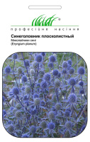 Синеголовник плосколистный 0,2 г, Hем Zaden
