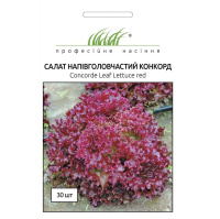 Салат Конкорд червоний Лолло Россо 30 насінин, Riik Zvaan