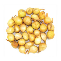 Штутгартер стенфилд 500 г лук севок арбажейка, Broer