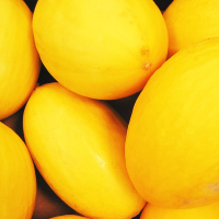 Диня Золотиста на вагу, Агролінія