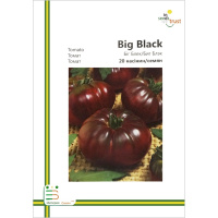Томат Биг Блекранний кустовой 20 семян европакет, Империя Семян
