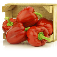 Перець Синдерелла F1 солодкий 500 насінин, NongWoo Bio