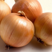 Цибуля Денсіті 10 г ріпчаста середньостигла, Anseme