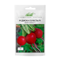 Редис Селеста F1 2 г ранний, Enza Zaden