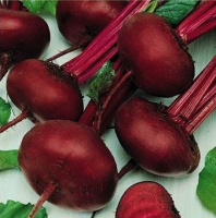 Свекла Египетская плоская весовая столовая округлая среднеспелая