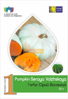 Гарбуз Сіра Волзька 20 г середньостигла, Vinel' Seeds