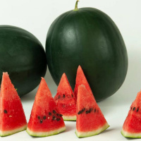 Арбуз Огонёк на развес, Агролиния