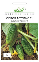 Огурец Астерикс F1 50 шт пчелоопыляемый ранний, Bejo Zaden