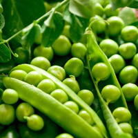 Горох Альфа 500 г цукровий ранній ТМ Вітас