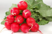 Редис Сора весовой ранний
